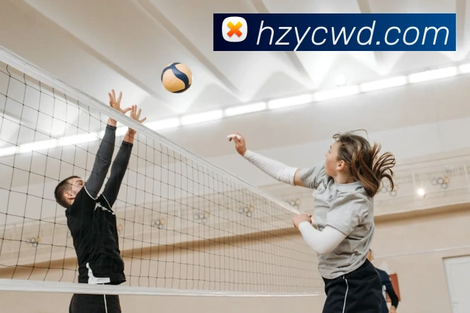 问鼎娱乐平台生态图